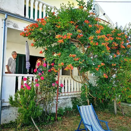 Apartmani Labud Sukosan Exterior photo